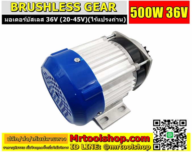 Brushless Motor DC 500W 36V